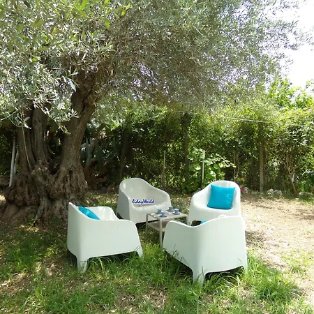 Biancolilla By World *